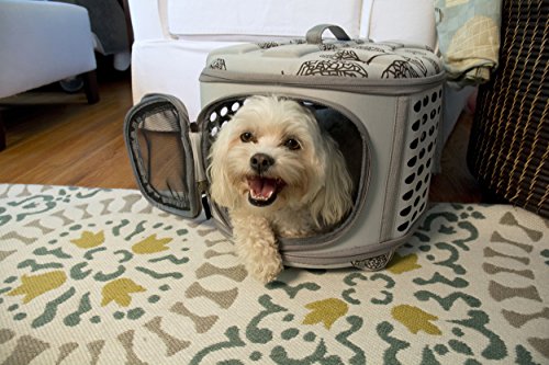 Iconic Pet Travel Carrier Lightweight, easy to Carry, 360° Ventilated Collapsible Zip-up Hard-Top with Handle for Indoor and Outdoor for Cats, Puppies / Small Dogs and Rabbits (for pets up to 15 lbs) - Thumbnail 7