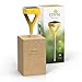 Edyn (EDYN-001) Wi-Fi Garden Sensor, Yellow/Gold (2.125 x 2.87 x 2.87 Inches)