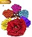 Alondra's Imports Mexican Paper Flowers – Party Decorations, Birthday, Wedding, Carnival, Pom Poms, Floral Backdrop, Fiesta Paper Flowers for Decoration, Flor De Papel, Unique Assorted (6 Pack)