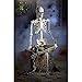 5 ft. Poseable Skeleton with LED Illumination