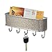 iDesign Twillo Metal Wall Mount Key and Mail Rack, 5-Hook Organizer for Kitchen, Mudroom, Hallway, Entryway, 10.5
