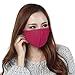 Womens 3 Pieces Anti Dust Anti-fog Activated Carbon Cotton Healthy Mask PM2.5 Protective Mouth Face Earloop Air Filter Gauze Mask Muffle Warm Respirator for Anti Allergy Flu Germ Dust Pollen&Allergens