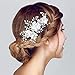AW BRIDAL Wedding Hair Clip Flower Crystal Hair Veil Comb Bridal Hair Accessories for Women (Sliver)