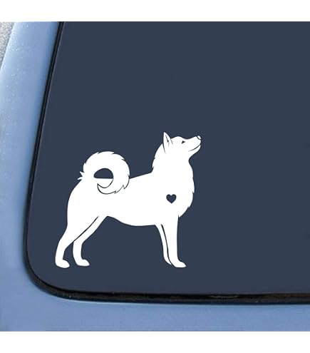 Descarga gratis | La raza de perro akita husky siberiano, husky