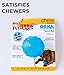 Petstages Orka Tennis Ball Treat-Dispensing Dog Chew Toy, Royal Blue