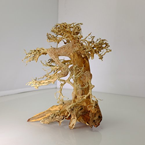 image for Bonsai Driftwood Aquarium Tree AM (8 Inch Height x 6 Inch Length) Natu