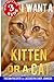 I Want A Kitten Or A Cat (Best Pets For Kids) (Volume 3) by Tristan Pulsifer, Jacquelyn Elnor Johnson