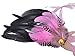 AshopZ Venetian Eye Mask Fancy Dress Accessory w/ Feather Flower Lace