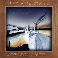 The Chameleons Ablum Cover