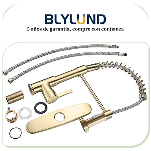 BLYLUND Grifo de Cocina Dorado, Grifo Monomando de Latón para Fregadero de Cocina con Rociador Extraíble de 2 Vías Caliente y Frío, Oro