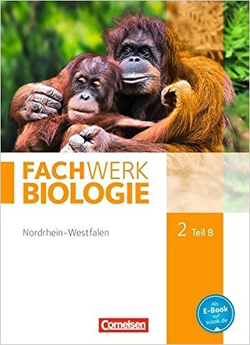 FachWerk Biologie 2 B