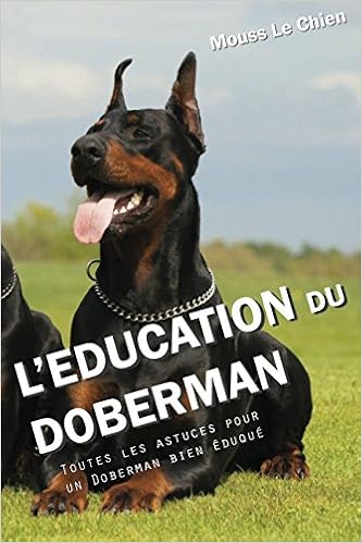 Leducation Du Doberman Toutes Les Astuces Pour Un Doberman