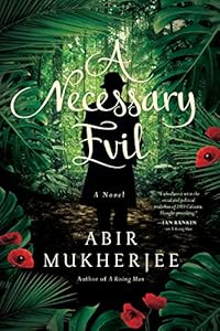 A Necessary Evil: A Novel (Wyndham & Banerjee Series)