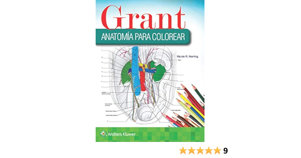 Grant Anatomia Para Colorear Spanish Edition Kindle Edition By Herring Nicole R Professional Technical Kindle Ebooks Amazon Com
