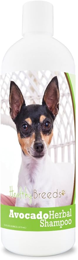 rat terrier itchy skin