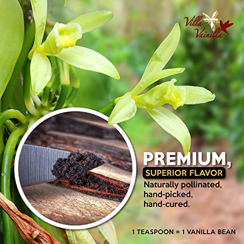 Villa Vainilla Pure Vanilla Extract Premium Concentrated Vanilla