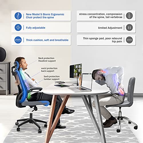 ENGBER Ergonomic Office Chair Home Computer Desk Chairs Lumbar