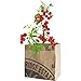 The Urban Agriculture Organic Grow Kit - Tomato