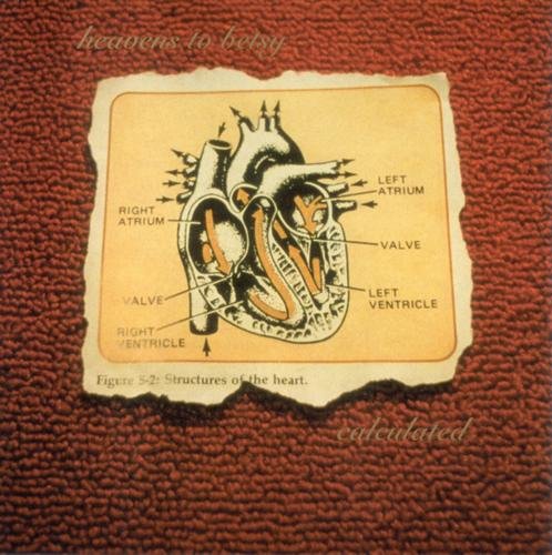 Album art for Calculated by HEAVENS TO BETSY