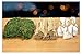 Nativity Accessories Assortment - Feed Bags - Straw Bundles - Moss