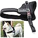 unho Dog Body Harness Padded Extra Big Large Medium Small Heavy Duty Vary from All Kinds of Size