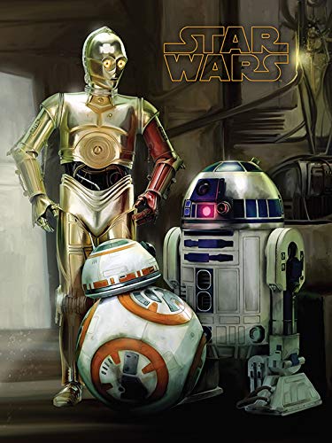 Star Wars WDC12125 30 x 40 cm Canvas Print, Multi-Colour, 30 x 40 x 3.8 cm