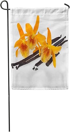 Amazon Com Semtomn Garden Flag Brown Flower Orchid Vanilla Beans