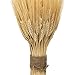 NETTLETON HOLLOW Golden Dried Wheat Sheaves