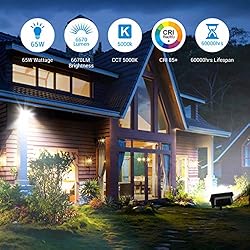 DEWENWILS 65W LED Flood Light Outdoor, 6670 Lumen