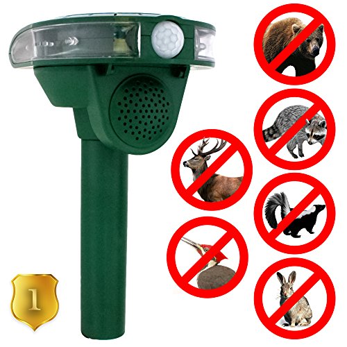 Apexan Outdoor Solar Ultrasonic Animal Repeller, Repels Raccoons, Skunks, Foxes, Bears, Dogs, Cats, Deer, Squirrels, Rabbits, Mice, Woodpecker and other Birds and Rodents | Protect Your Garden!