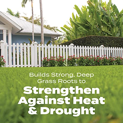 Scotts Turf Builder Bonus S Southern Weed & Feed2, Weed Killer and Lawn