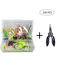 NewQiang Kit de accesorios de pesca con caja de aparejos, incluyendo alicates de pesca, anzuelos de pesca, diapositivas de pesca, bullet Bass, pesas de pesca, chinchetas de pesca, perlas de línea de pesca