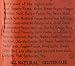 Rufus Teague - Blazin' Hot BBQ Sauce 16oz