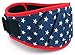 Fitplicity Weight Lifting Belt (Old Glory, Medium)