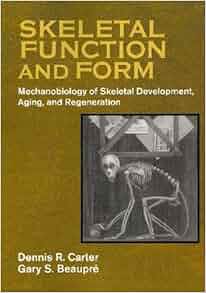 Skeletal Function And Form Mechanobiology Of Skeletal
