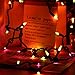 ⭐️Halloween String Lights - 24ft 100 Incandescent Orange&Purple&Green Mini Bulbs Lights, Halloween Lighting Decor for Outdoor&Indoor Use, Fairy Garden, Yard, Home, Party, Holiday, Halloween Decoration