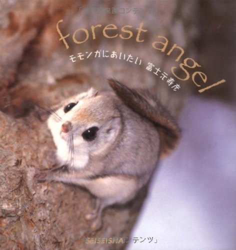 I Want To See Flying Squirrel Seiseisha Minibook 04 Isbn Japanese Import Amazon Com Books