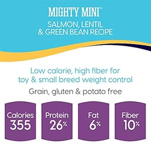 Solid Gold Mighty Mini with Cold Water