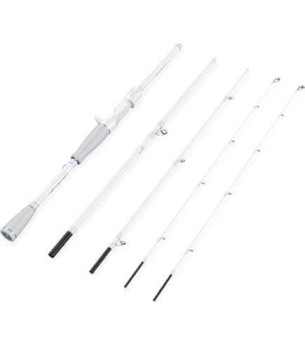 Amazon.com : Shimano ZODIAS, Freshwater, Bass, Travel, Casting, 7