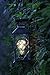 YaCool Decorative Garden Lantern - Vintage Style Hanging Lantern Outdoor Decorative Lantern - Battery-Operated 5 Hour Timer- 12' (009)