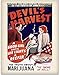 Devil's Harvest - The Truth About Marijuana 11x14 Unframed Art Print - Great Rehabilitation Center Wall Sign Under $15