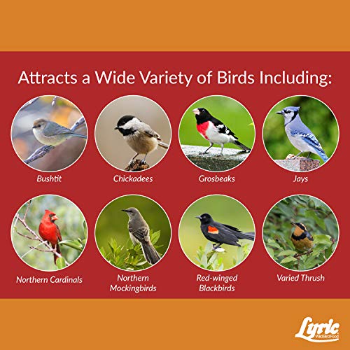 Lyric Cardinal Wild Bird Seed Sunflower & Safflower Premium Bird Food
