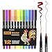 Brush Pen Set 12 Color Dual Tip Markers - Calligraphy Lettering Paint Art Manga
