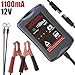 LST 12V Battery Trickle Charger Maintainer Portable Smart Float Charger for Car Motorcycle Lawn Mower SLA AGM GEL CELL WET Lead Acid Batteries primary