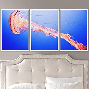 signwin 3 Piece Framed Canvas Wall Art Colorful...