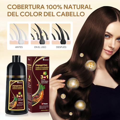 Dark Brown Hair Dye Shampoo 3 in 1, Shampoo para Canas con Tinte, Champú para Teñir el Cabello Marrón Oscuro, Champú Tinte Cubre Canas para Mujer y Hombres (500ML)