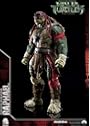 Teenage Mutant Ninja Turtles（ミュータント・タートルズ） Raphael（ラファエロ）|サンプル3