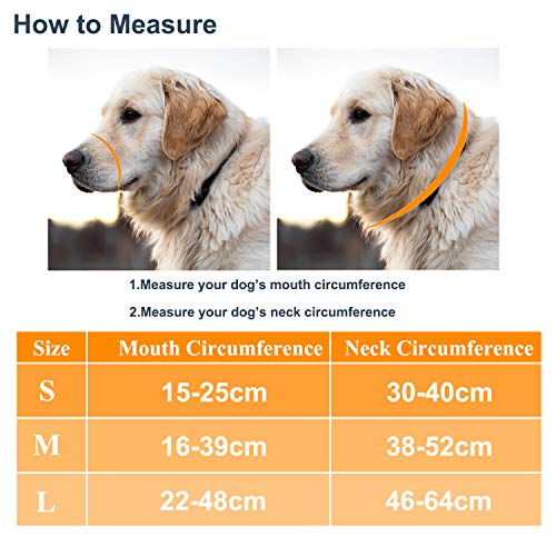 anti pull head collar