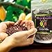 Divine Organics Raw Cacao/Cocoa Nibs - Certified Organic - Premium Rio Arriba - Smoothies, Baking, Snacks, Salads, Trail Mixes - Chocolate Chips Substitute - Rich in Magnesium (16oz)