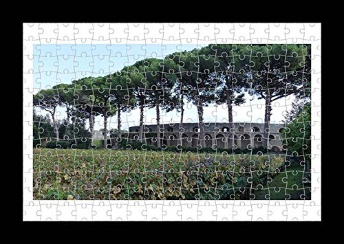Jigsaw 204 pieces Puzzle with Frame - Amphitheatre Of Pompeii by Lisa Loft